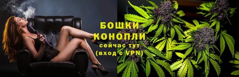 МАРИХУАНА OG Kush  Кашира 